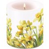 Ambiente Europe BV Sviečka Narcis 8cm