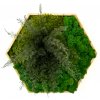 Hexagon Lisa Veľkosť rámu: 21cm - v najširšom bode