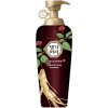 Daeng Gi Meo Ri Vitalizing Energy Treatment - Revitalizačný kondicionér 500 ml