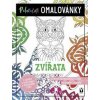 Zvířata - relaxační omalovánky - Kolektív autorov