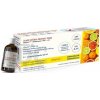 Zlaté Céčko Protect 2000 ampuly s príchuťou 5 x 25 ml
