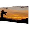 Obraz plexi Slnko oblohu drak 100x50 cm
