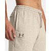Under Armour Pánske šortky UA Icon Fleece Short Hnedé
