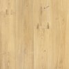 Fatra NOVOFLOR EXTRA WEGA PVC role 2460-1 šírka 2m, 34/43
