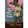 The Boy Lost in the Maze - Joseph Coelho