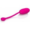 CalExotics Kegel Ball Advanced