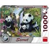 Dino - Puzzle Kolekcia Secret: Pandy - 1000 dielov