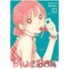 Viz Media Blue Box 5
