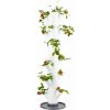 GUSTA GARDEN GG-100519