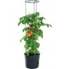 Kvetináč Prosperplast TOMATO GROWER na pestovanie paradajok 29,5 cm antracit