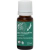 Tierra Verde Esenciálny olej BIO Rozmarín, 10 ml