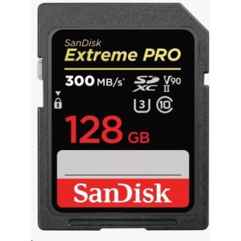 SanDisk 128 GB 121506