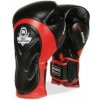 Boxerské rukavice DBX BUSHIDO BB4 12oz