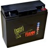 FIAMM MotoEnergy Storm AGM FT19-12B