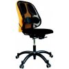 Opierka chrbta Fellowes Professional Mesh