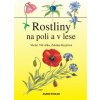 Rostliny na poli a v lese