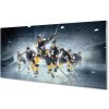 Obraz plexi Hokej 100x50 cm