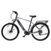 MS ENERGY eBike c101