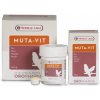Vitamín pre papagáje a vtáky na preperovanie Orlux Muta-vit 200 g
