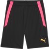 Pánske futbalové šortky Puma, TEAMLIGA TRAINING SHORTS 2 čierna,ružová,žltá S