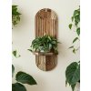 WoodenBotanery Nástenný stojan na rastliny ARCUS Akácia - oblúk