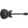 Ibanez AS53 barva TKF (Transparent Black Flat)