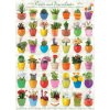 Puzzle Eurographics Puzzle Kaktusy a Sukulenty 1000 dielikov (628136606547)