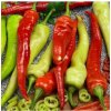 Paprika Ohnivec - Capsicum annuum - predaj semien - 20 ks