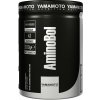 AminoBol (predtréningová BCAA formula) - Yamamoto 300 g