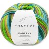 KANERVA SOCKS Katia Farby KANERVA: 103 mix farieb 3