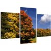 Jesenné stromy - obraz do bytu (Obraz 90x60cm)