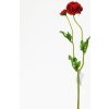 AKCIA! KS RANUNCULUS ČERVENÝ KS 39CM