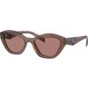 Prada Pr A02S 17O60B