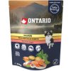 Ontario Salmon with Vegetable in Broth 300 g