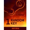 Random Hot Deal 1 Key (PC) Steam Key 10000337843001