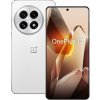 OnePlus 13 5G 16 GB/512 GB Arctic Dawn 5011110312