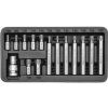 Yato Sada bitov 15 ks TORX box (YT-0411)