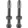 Schwalbe Tubeless Valve Set 100 mm