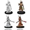 WizKids D&D Nolzur's Marvelous Miniatures Female Human Druid 2 ks figúrok na malovanie