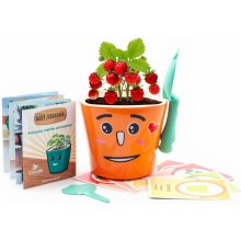 Cuculo Vypestujte si jahôdky - detská sada pre pestovanie jahôd sa samozavlažovacím kvetináčom a výučbou angličtiny, oranžová