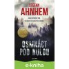 E-kniha Fabian Risk 3: Osmnáct pod nulou - Stefan Ahnhem