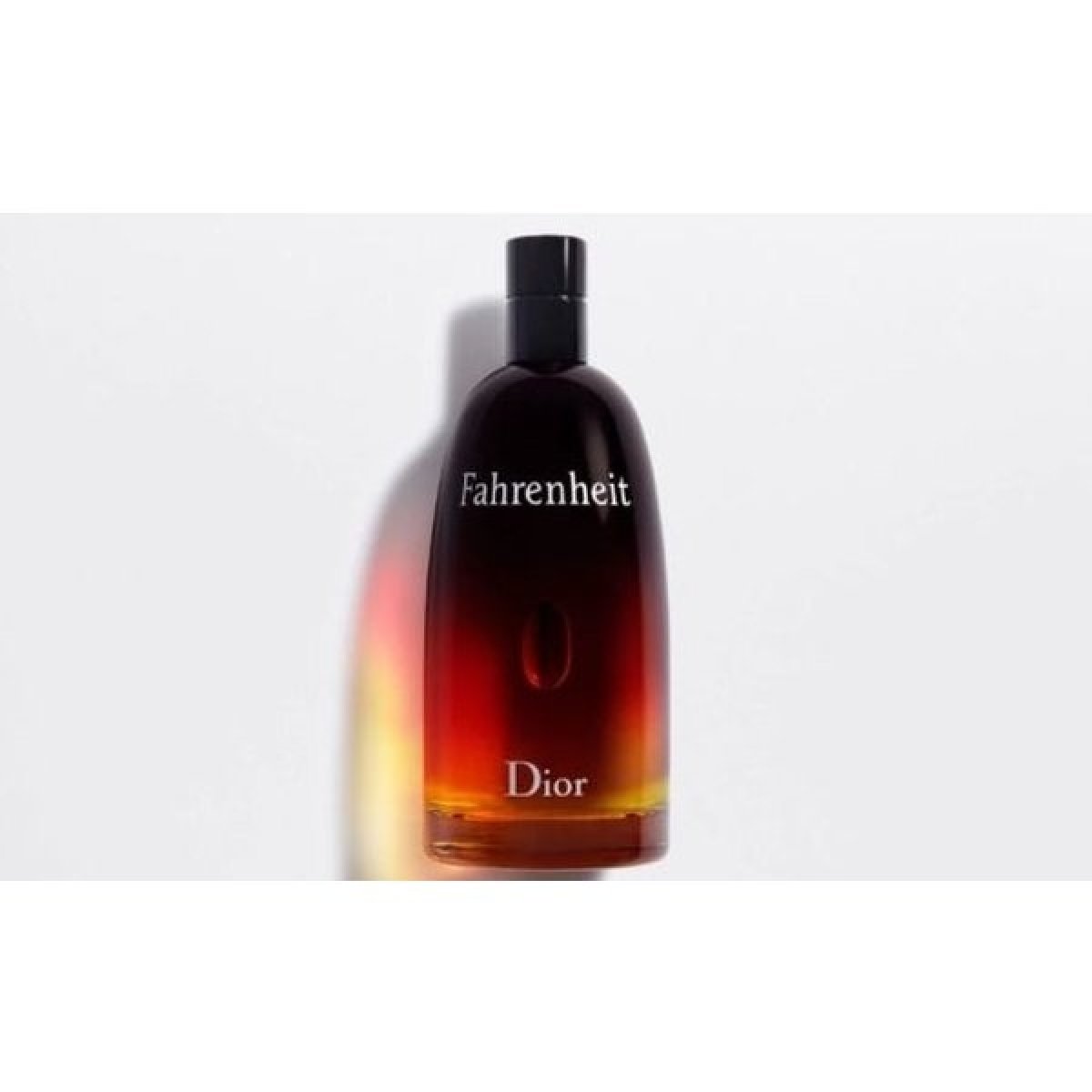 Christian Dior Fahrenheit toaletná voda pánska 50 ml od 64