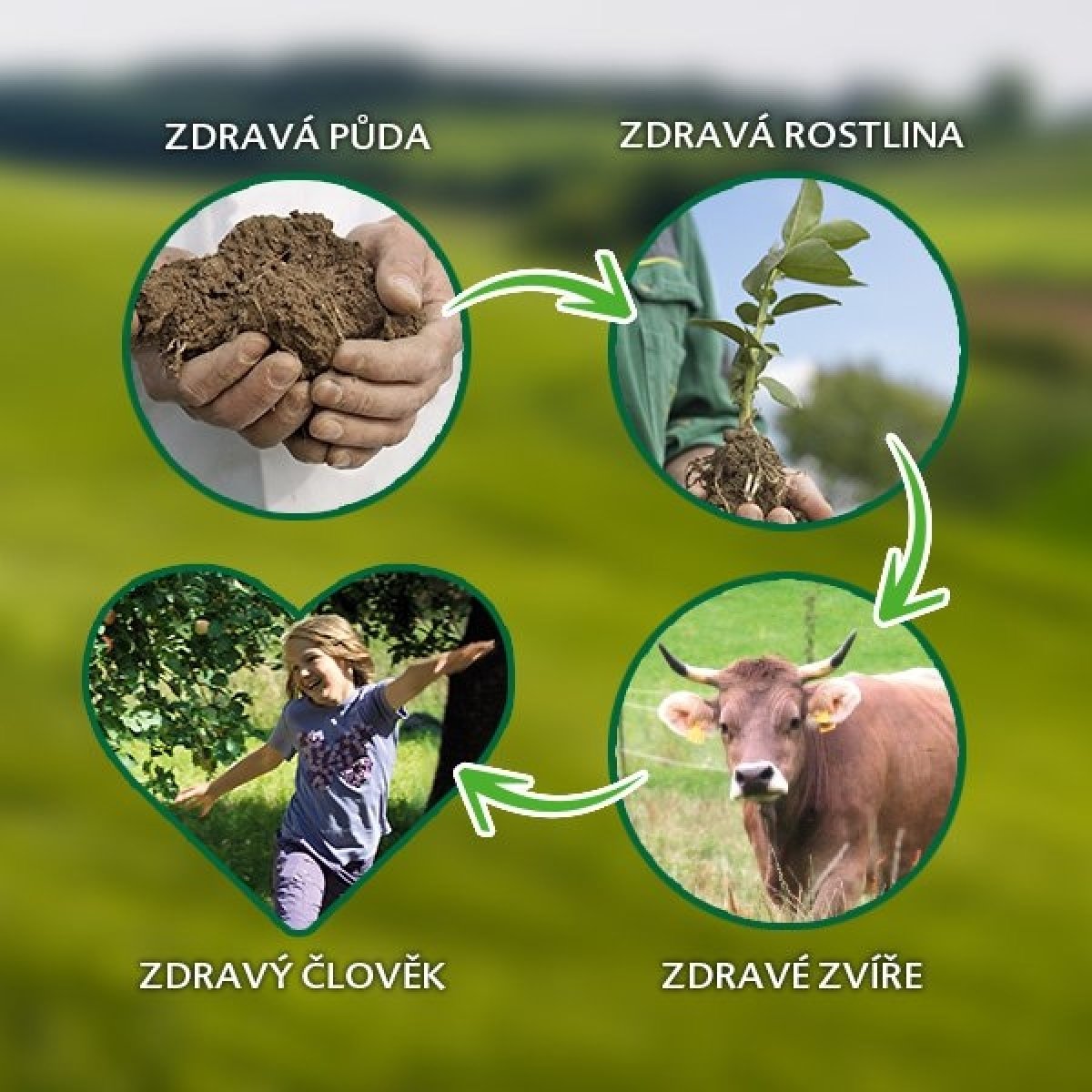 HiPP BIO zásady