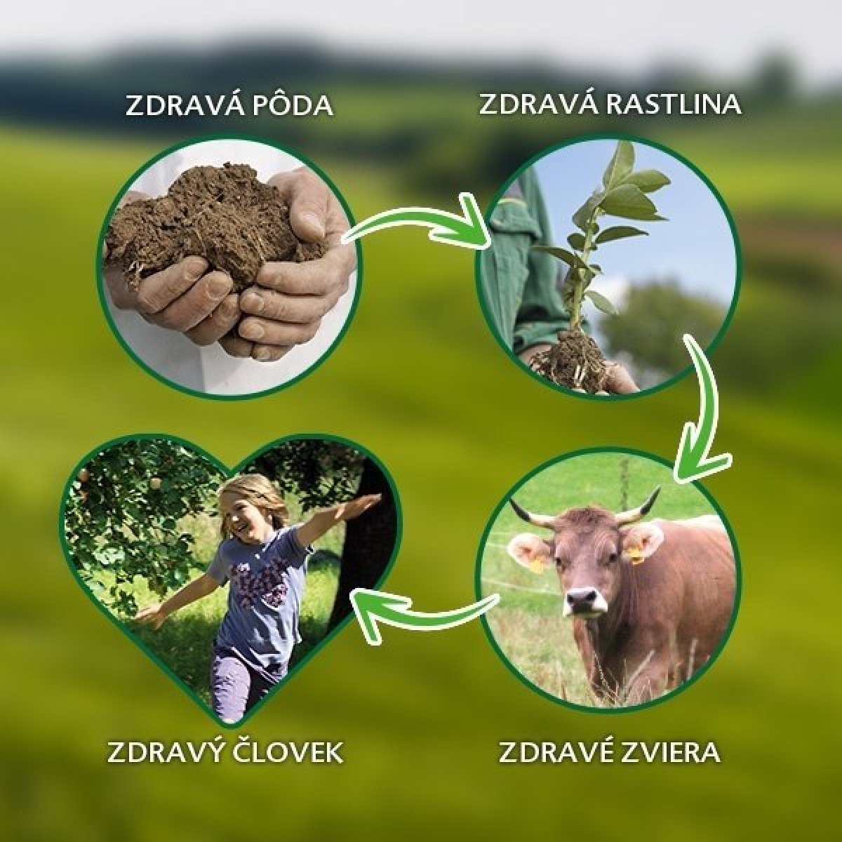 HiPP BIO zásady