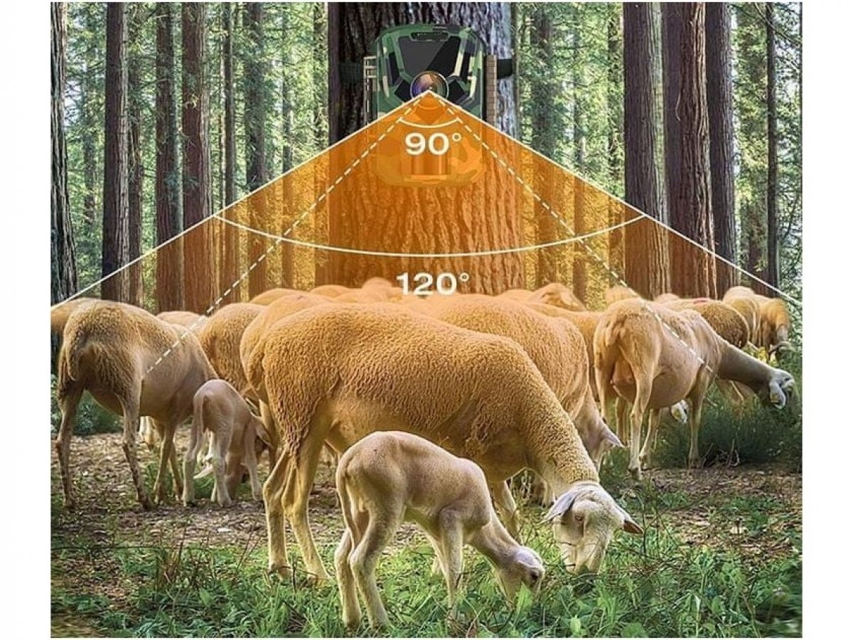 Vysoká kvalita fotiek a videí