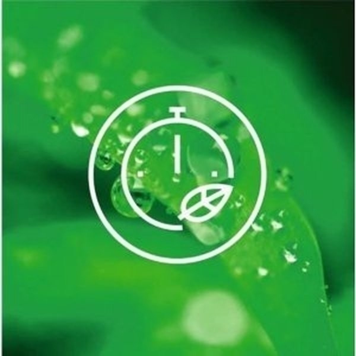 Program Eco TimeSave