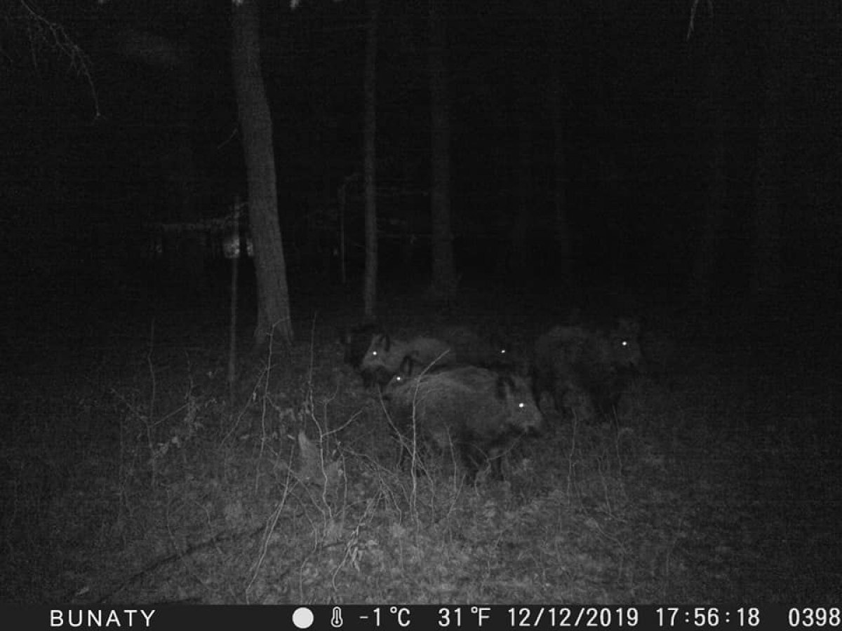 Ľubovoľné možnosti nastavenia