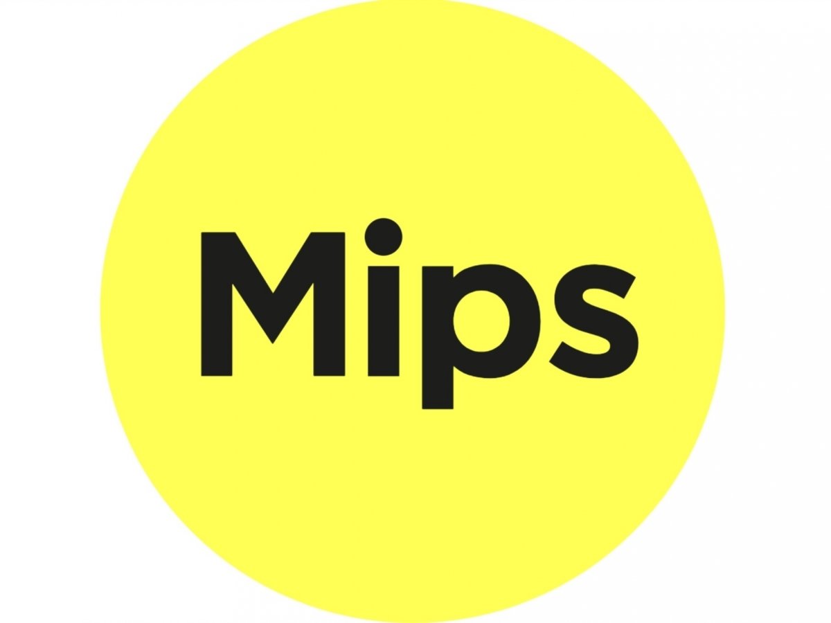 Ochrana MIPS