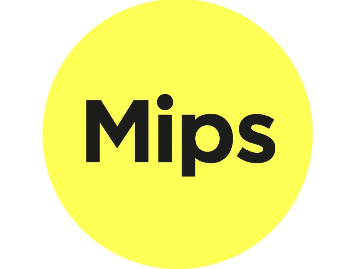 Systém MIPS