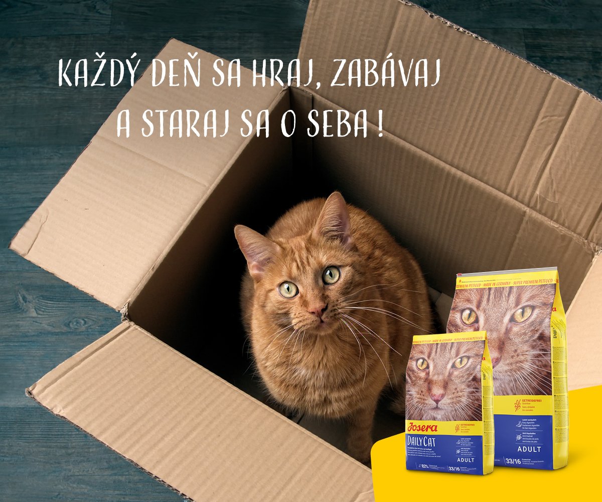 Kľúčové vlastnosti